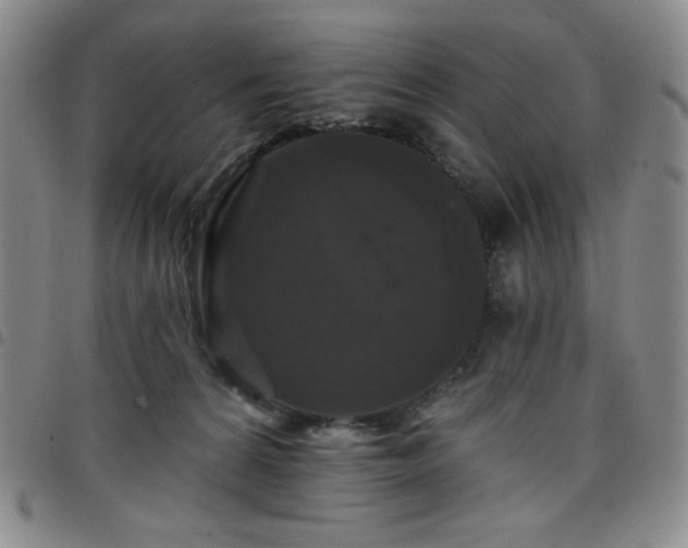 X0000098130224200804241657