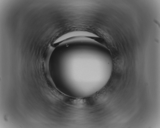 X0000098130225200804241657