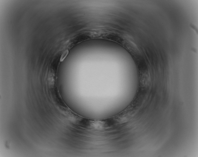 X0000098130226200804241657