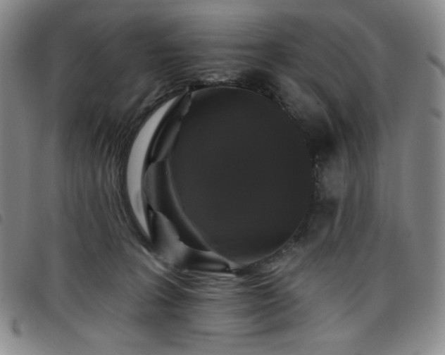 X0000098130227200804241657