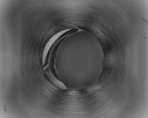 X0000098130229200804241657