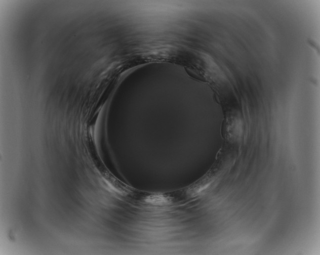 X0000098130231200804241657
