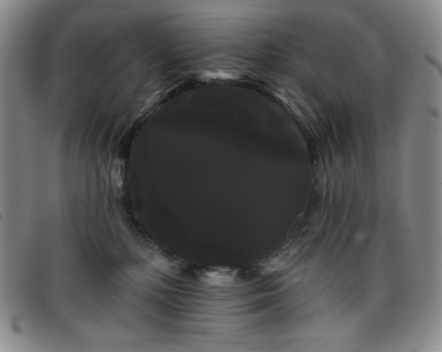 X0000098130232200804241657