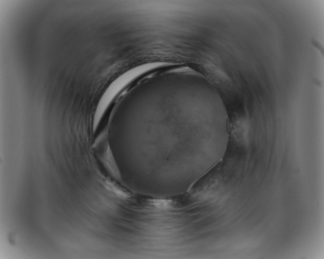 X0000098130233200804241657