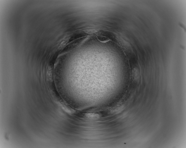 X0000098130234200804241657