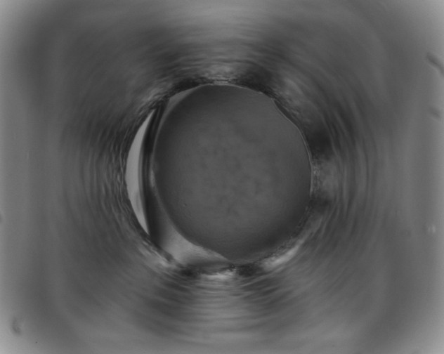 X0000098130237200804241657