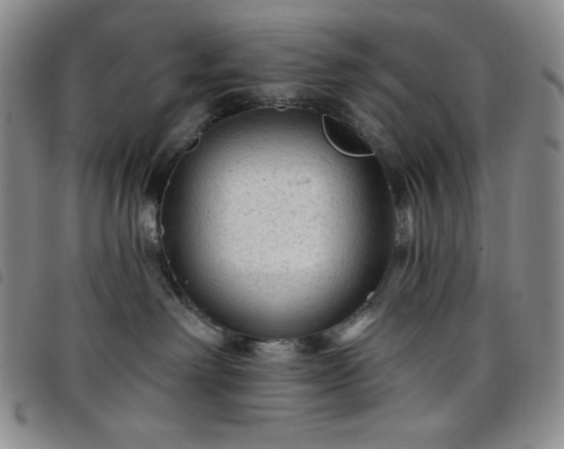 X0000098130238200804241657