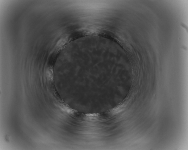 X0000098130240200804241657