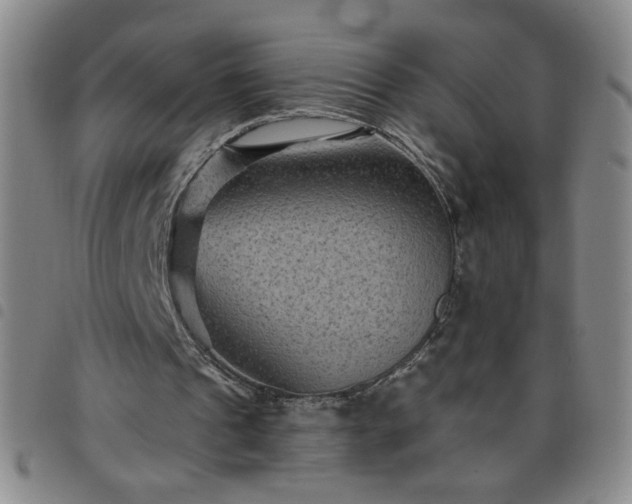 X0000098130241200804241656