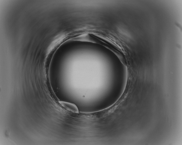X0000098130245200804241657