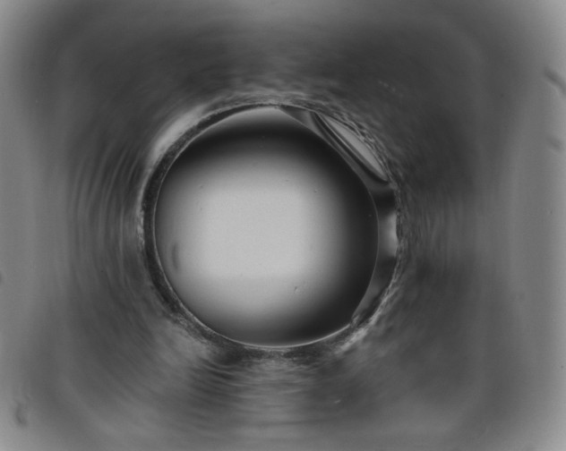 X0000098130246200804241657