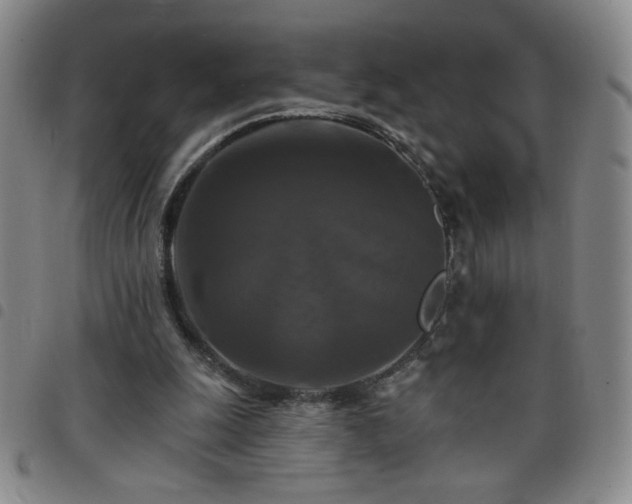 X0000098130247200804241657
