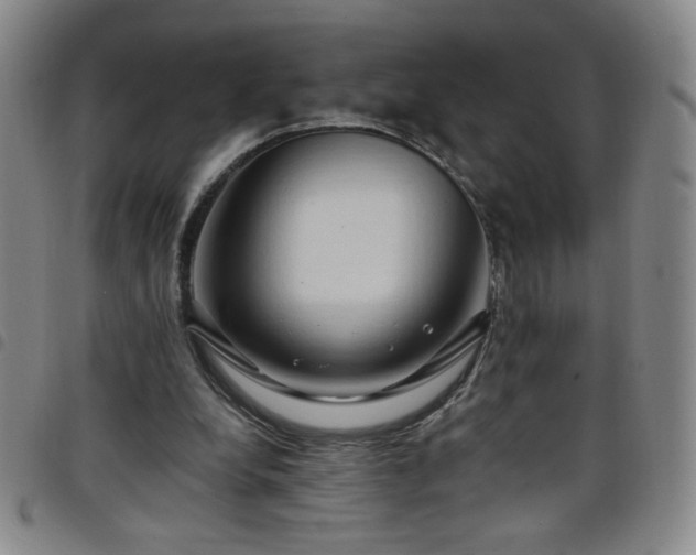 X0000098130248200804241657