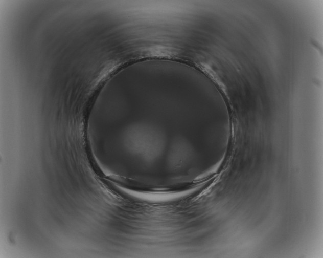 X0000098130249200804241657