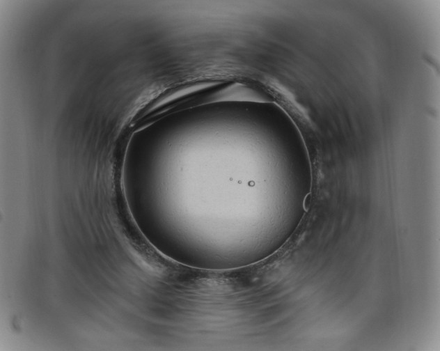 X0000098130250200804241657