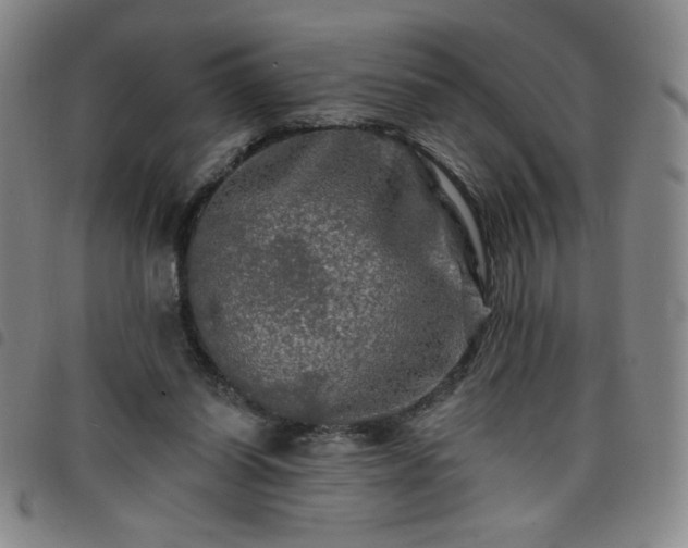 X0000098130254200804241657