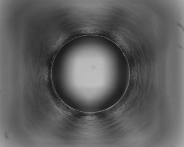 X0000098130255200804241657