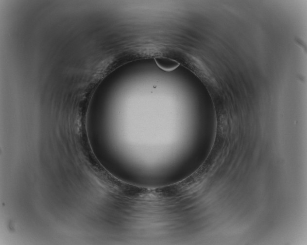 X0000098130259200804241657