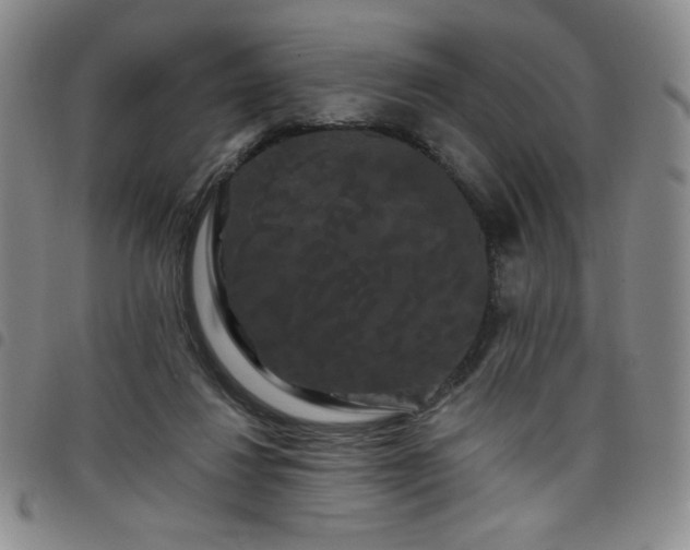 X0000098130260200804241657