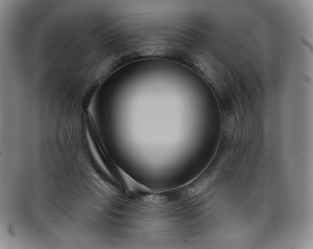 X0000098130261200804241657