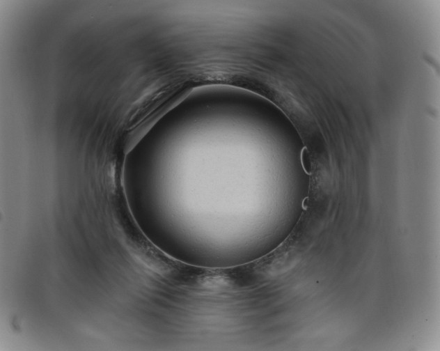 X0000098130262200804241657