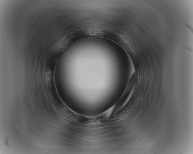 X0000098130263200804241657