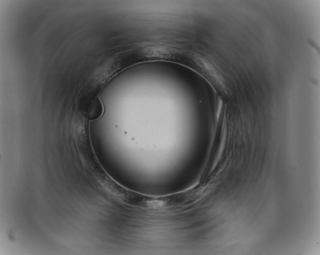 X0000098130265200804241657