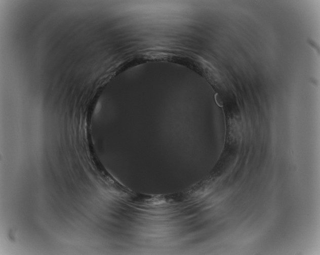 X0000098130267200804241657