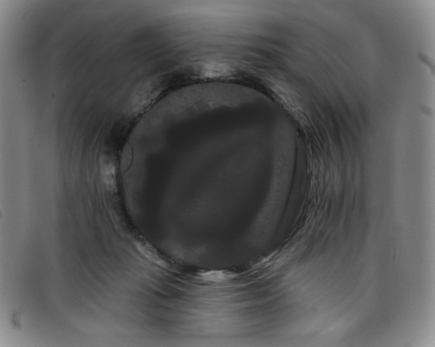X0000098130269200804241657