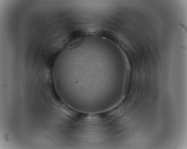 X0000098130270200804241657