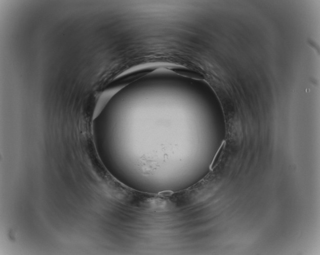 X0000098130272200804241657