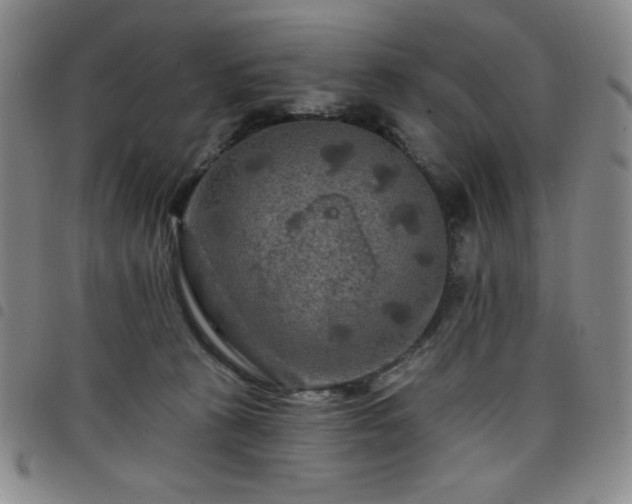 X0000098130273200804241657