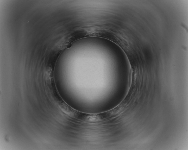 X0000098130275200804241657