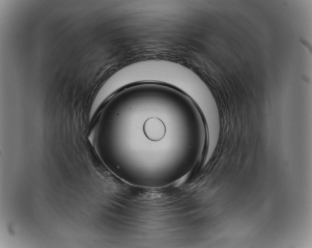 X0000098130276200804241657