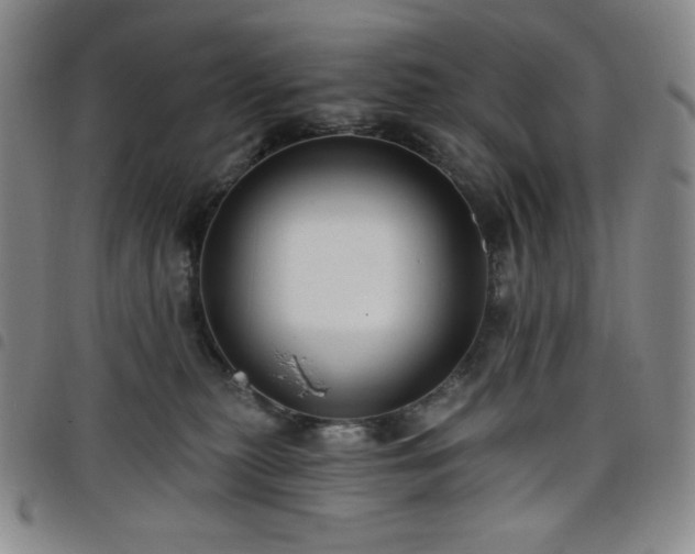 X0000098130279200804241657