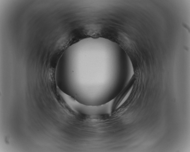 X0000098130280200804241657