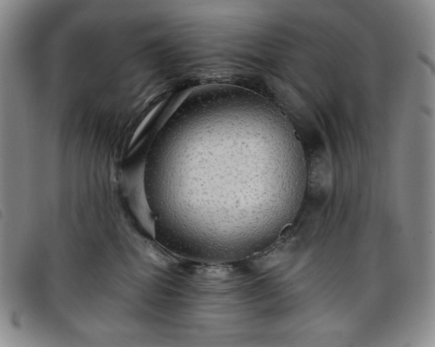 X0000098130282200804241657