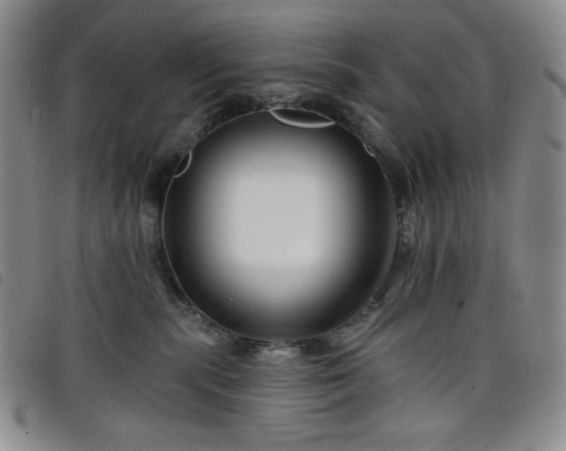 X0000098130283200804241657