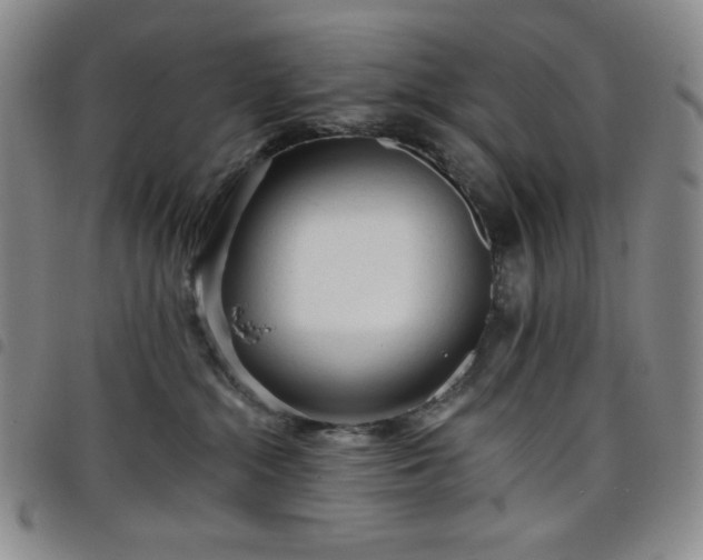 X0000098130284200804241657