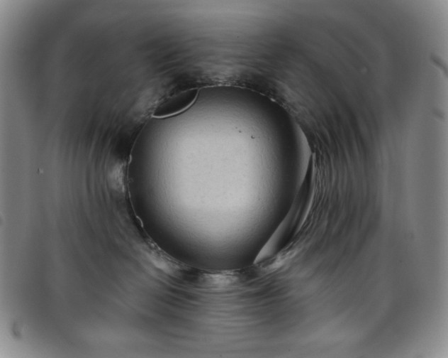 X0000098130286200804241657