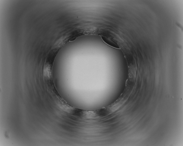 X0000098130287200804241657