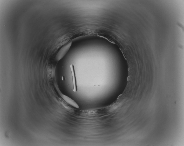 X0000098130288200804241657
