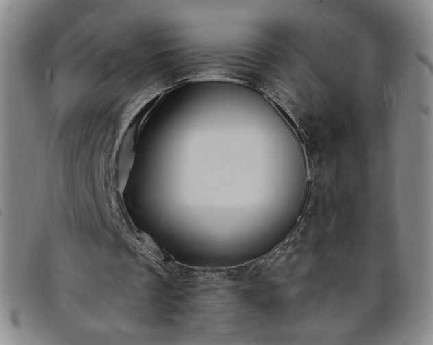 X0000098130289200804241656