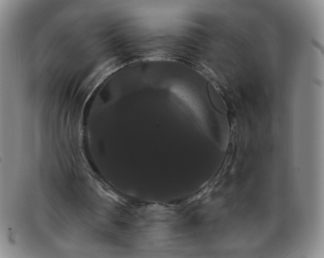 X0000098130290200804241656