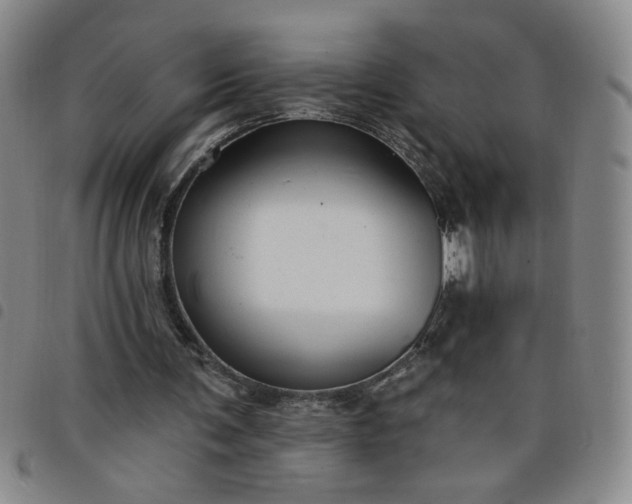 X0000098130291200804241656