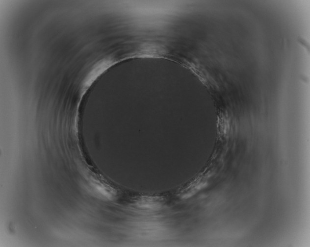 X0000098130292200804241656