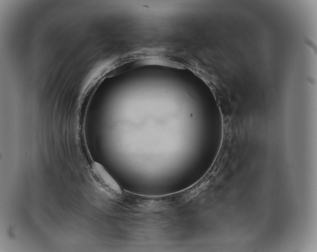 X0000098130293200804241656