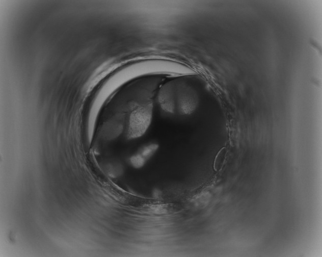 X0000098130295200804241656