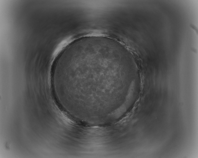 X0000098130296200804241656
