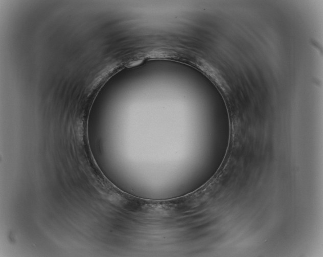 X0000098130297200804241656